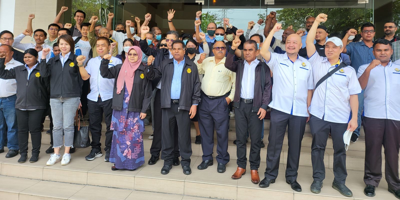 Syarikat didakwa tipu pelaburan halia, kelapa sawit RM850 juta – YPNM