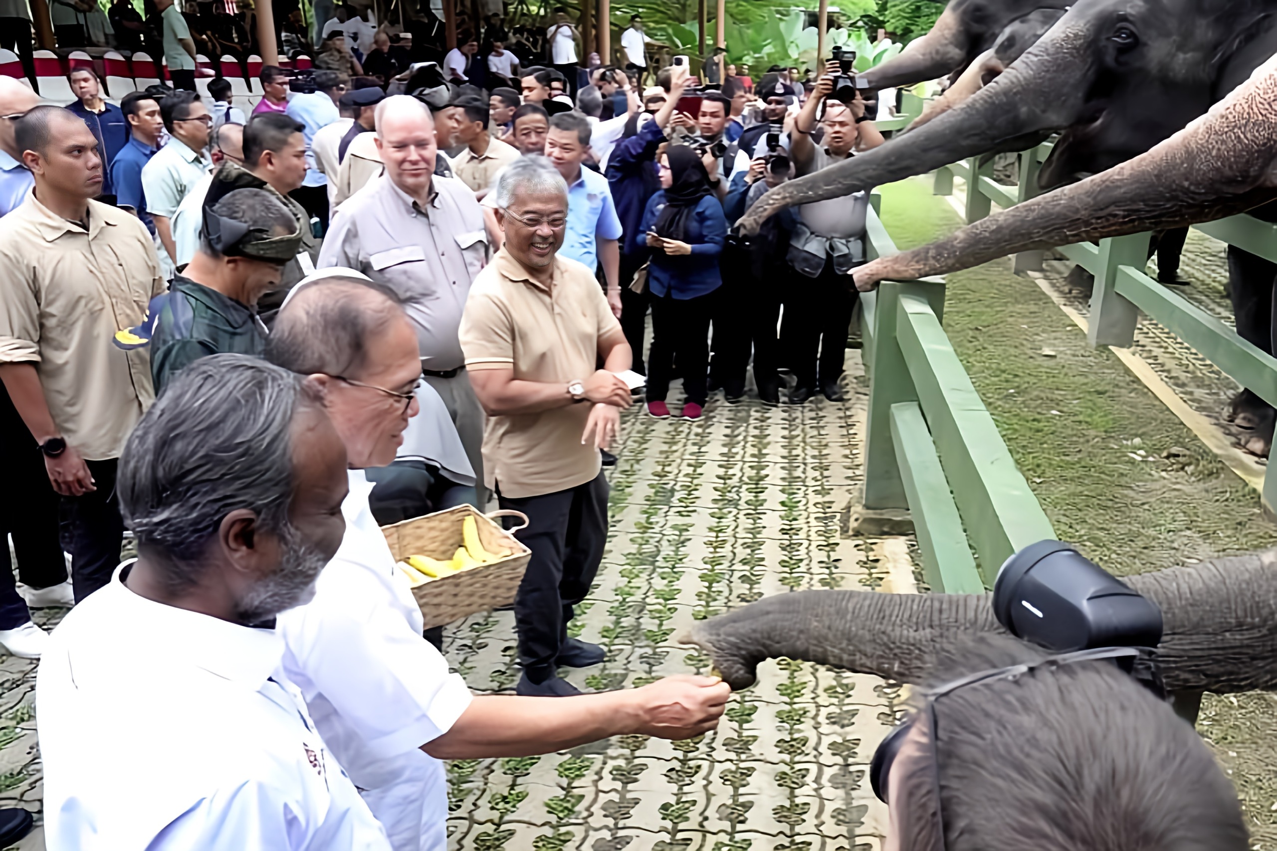 Agong, Putera Monaco lawat pusat konservasi Harimau Malaya, gajah