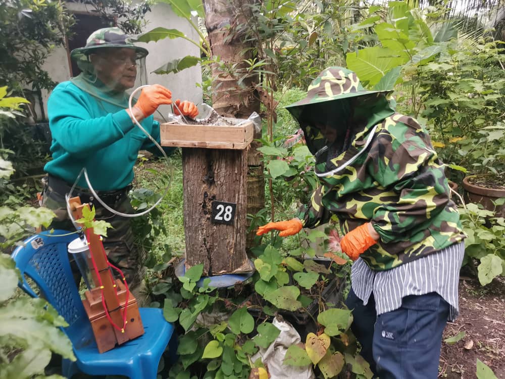 Suami isteri jana pendapatan dengan madu kelulut selepas bersara