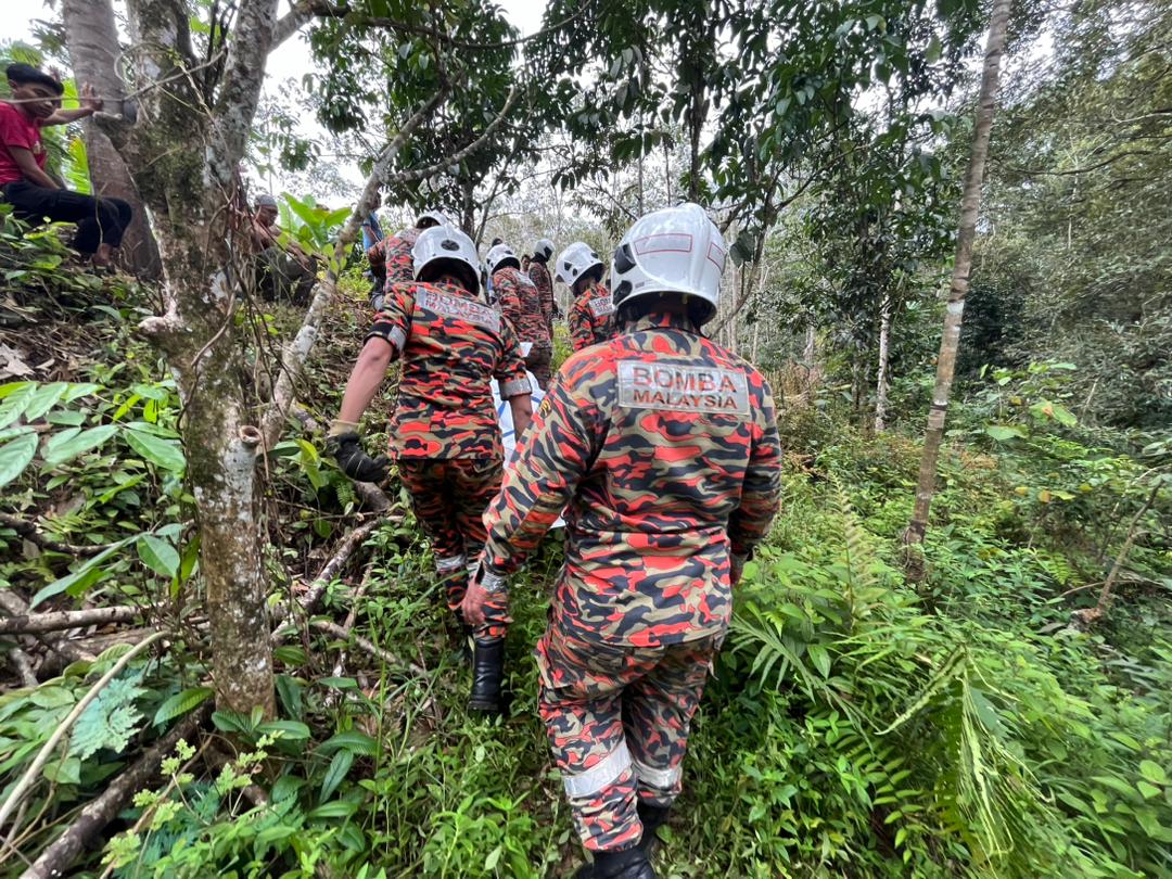 Lelaki maut jatuh pokok ketinggian 20 meter