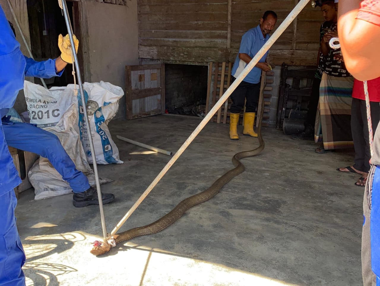 Rus uniform porno video onlayn