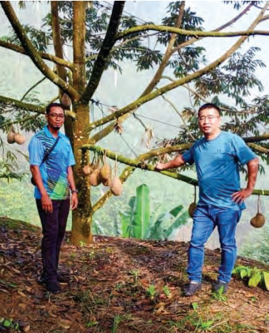 Rahsia kegigihan, kejayaan ‘bercakap dengan pokok’
