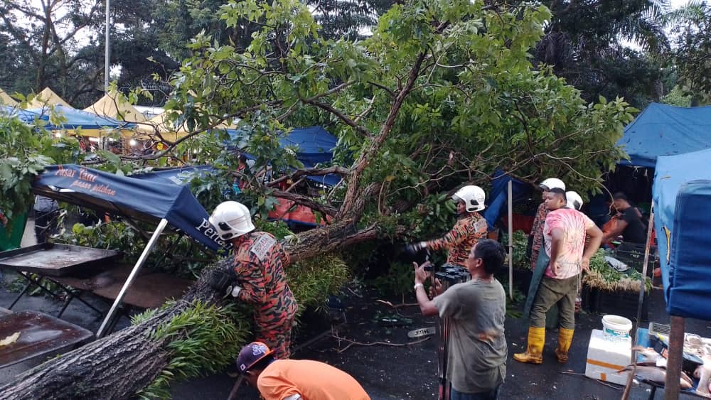 Khemah peniaga pasar malam dihempap pokok