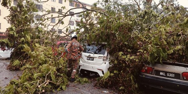 Tiga kereta dihempap pokok di Bukit Sentosa