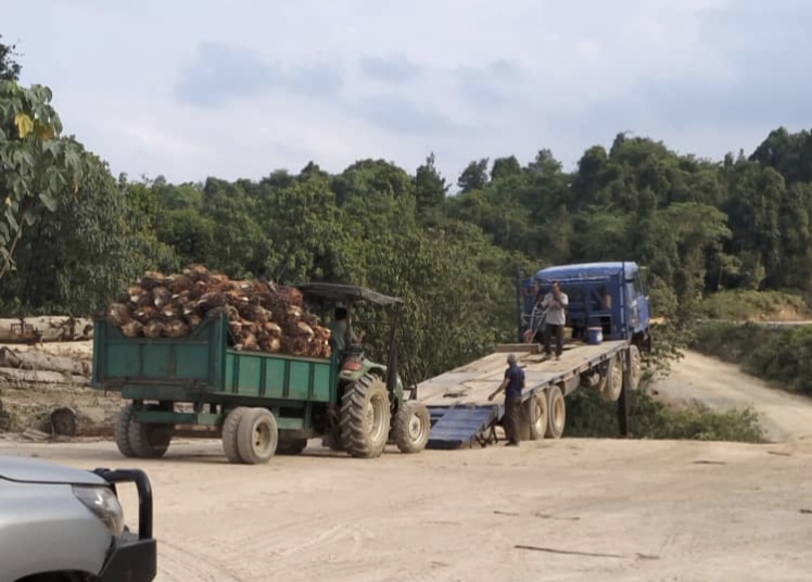 Beberapa individu ditahan, jentera disita ceroboh tanah Kampung Kawah