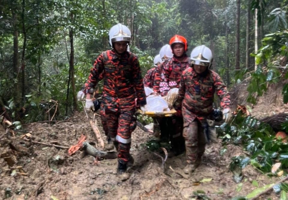 Lelaki Indonesia maut dihempap pokok