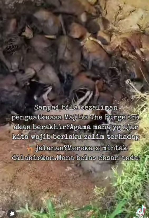 Polis siasat video dakwaan pelupusan bangkai anjing