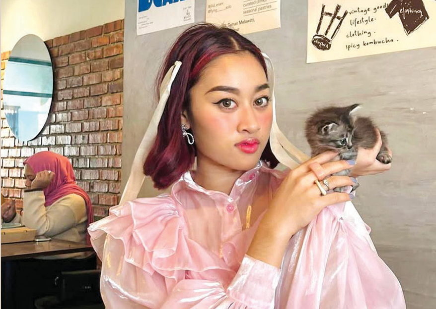 Miliki 30 ekor kucing, Aisha Retno tidak berkira dengan si bulu