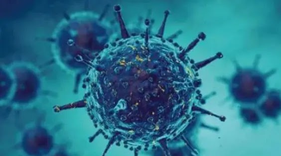 327 sampel positif Virus HMPV di negara tahun lalu