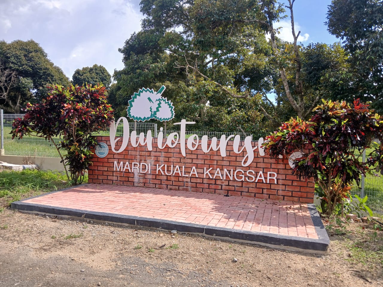 Kepuasan menikmati durian di Duriotourism
