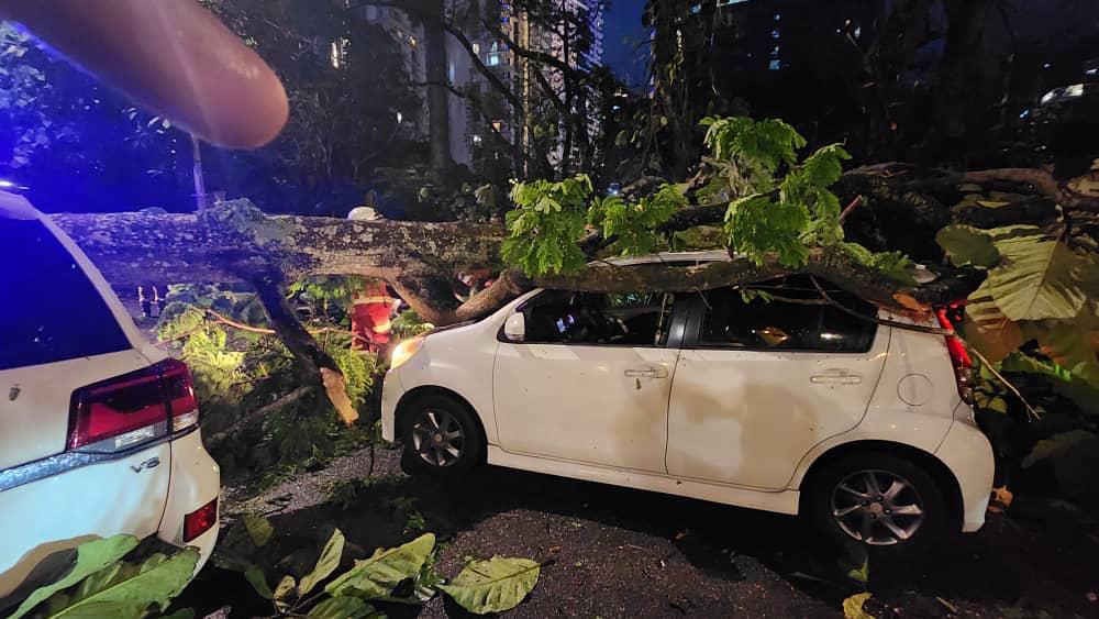 Hujan lebat, pokok tumbang hempap tiga kereta