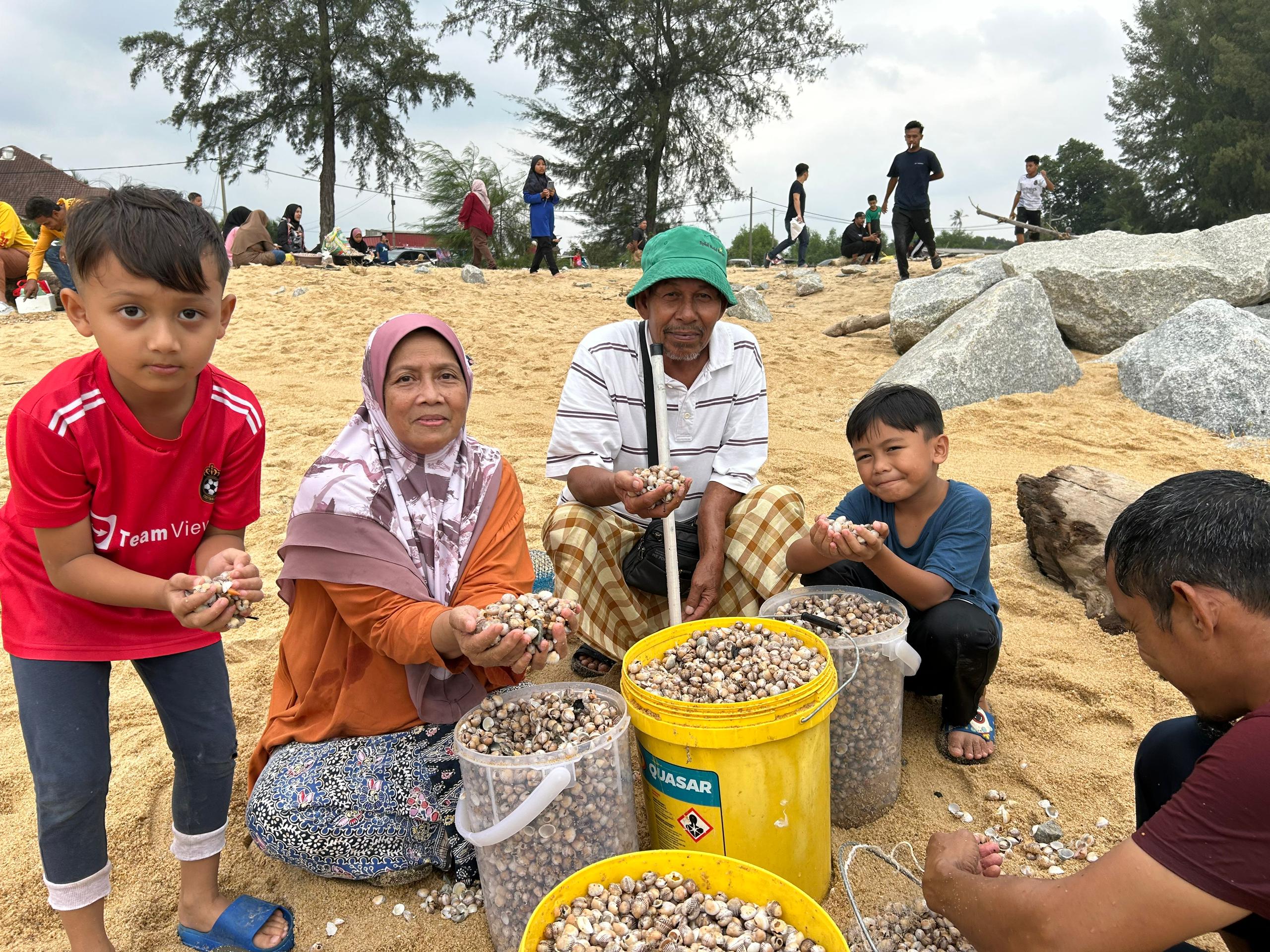 Kerang terdampar: Elak makan, tunggu laporan makmal