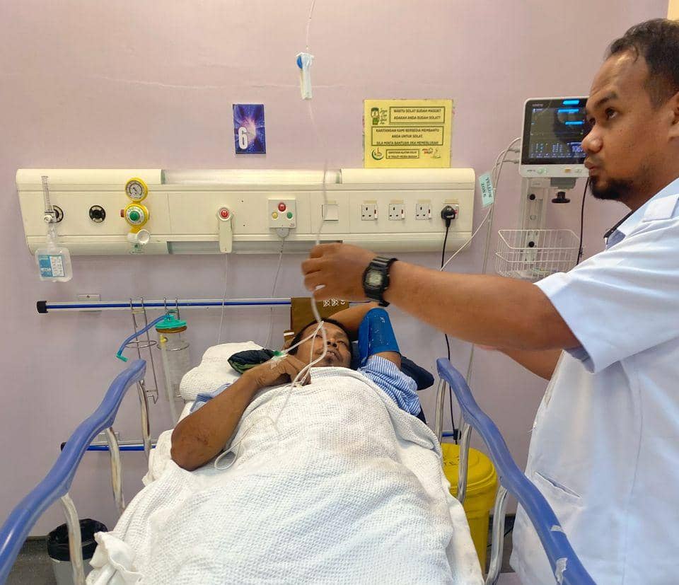Anggota Perhilitan diserang gajah liar stabil