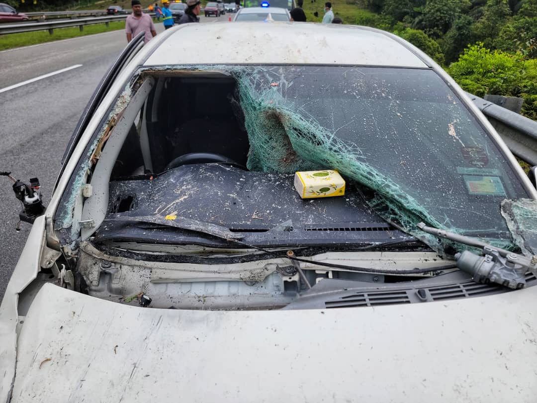 Kanak-kanak tujuh tahun maut tercampak dalam nahas dua kenderaan di LPT1