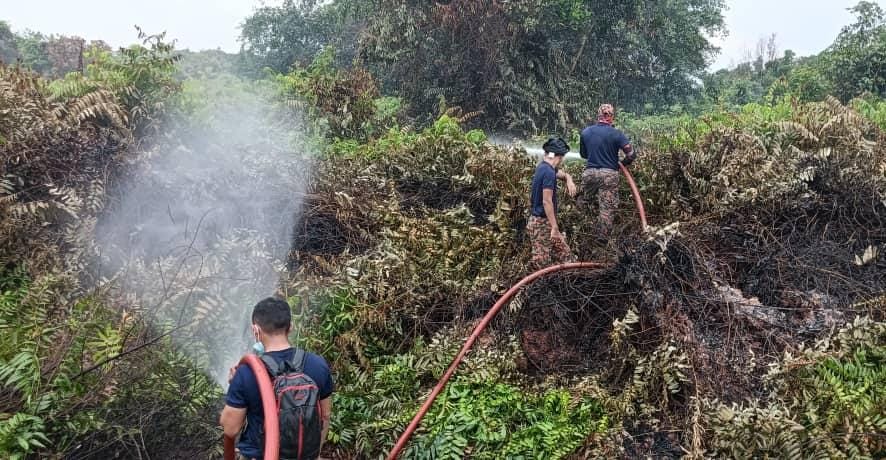 11 hektar hutan terbakar di Kemaman padam, berbaki tujuh hektar lagi