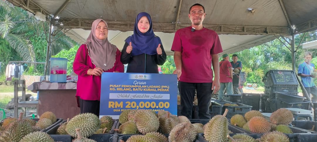 Permintaan durian Batu Kurau tidak terjejas Permintaan durian Batu Kurau tidak terjejas