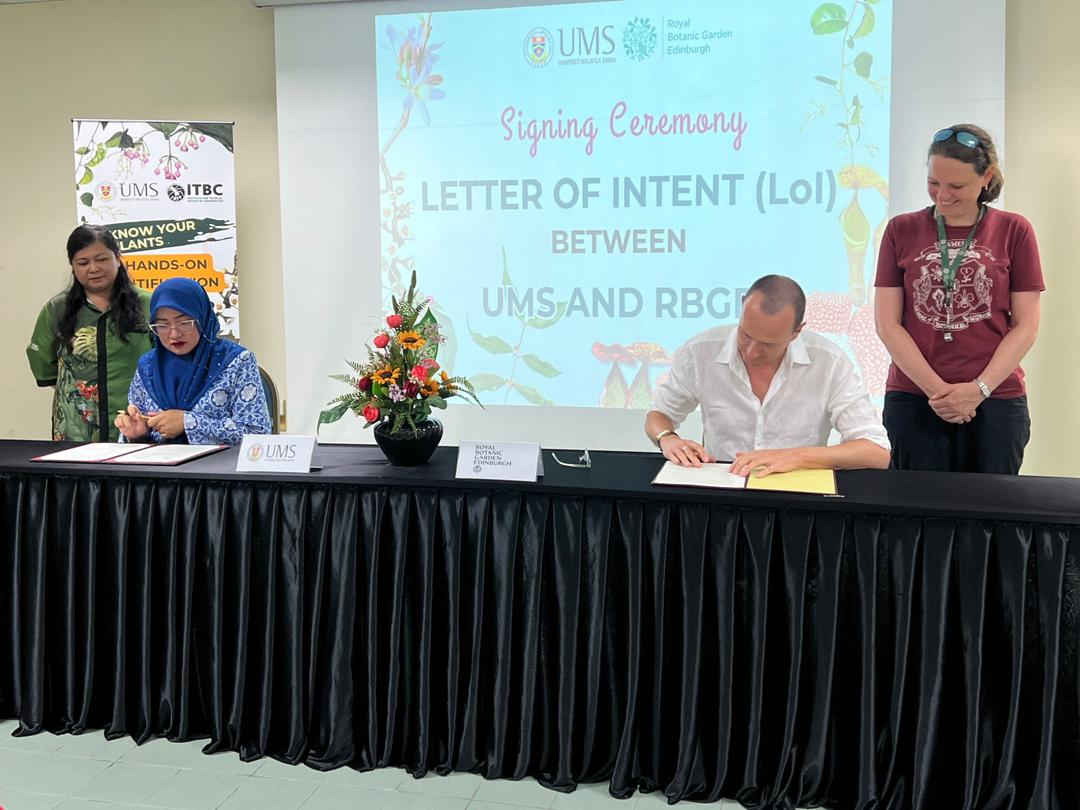 UMS, RBGE Scotland meterai kerjasama penyelidikan dan pemuliharaan biodiversiti dengan Royal Botanic Garden Edinburgh UMS, RBGE Scotland meterai kerjasama penyelidikan dan pemuliharaan biodiversiti dengan Royal Botanic Garden Edinburgh