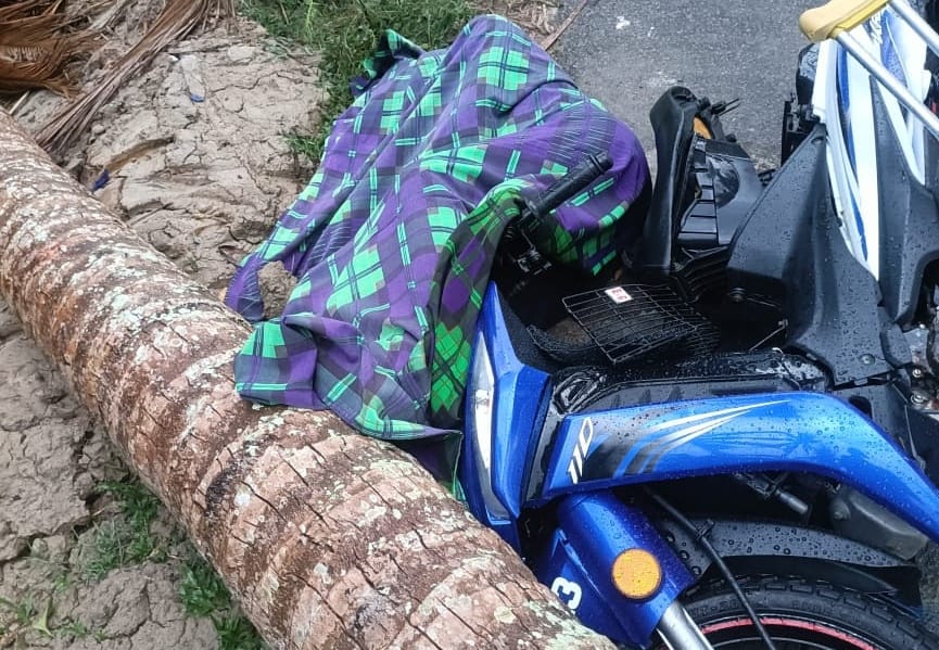 Calon SPM maut dihempap pokok kelapa tumbang ketika ribut Calon SPM maut dihempap pokok kelapa tumbang ketika ribut
