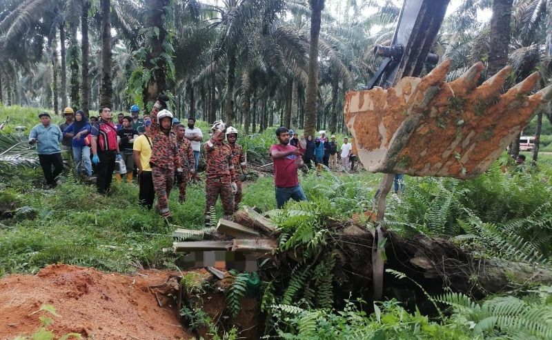 Pekerja ladang wanita maut dihempap pokok kelapa sawit Pekerja ladang wanita maut dihempap pokok kelapa sawit