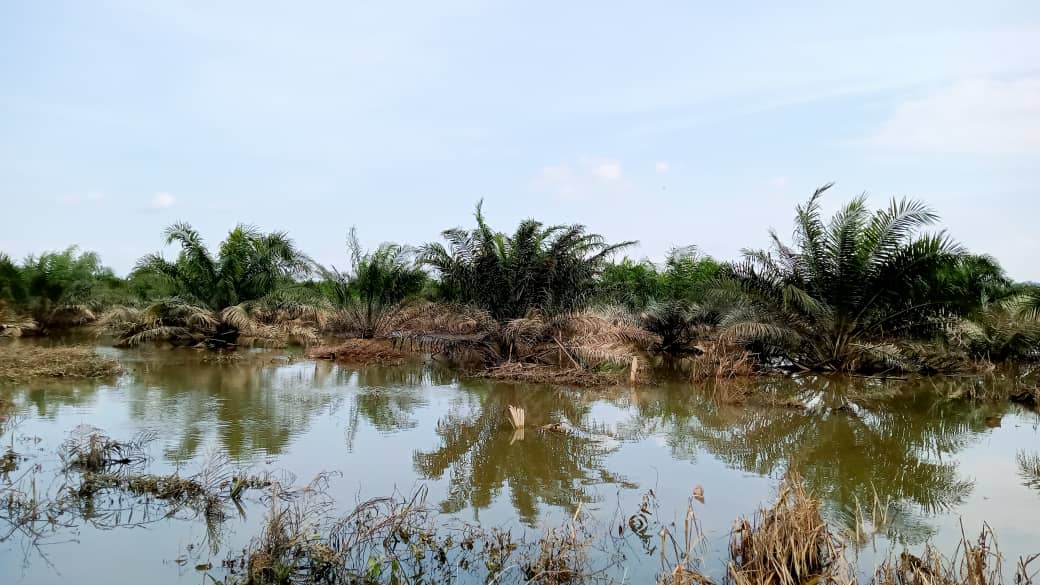 Bah Johor: Jumlah mangsa terus berkurangan