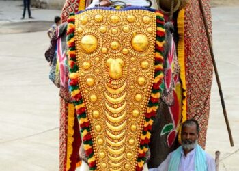 PADA asalnya Nettipattam digunakan sebagai perlindungan apabila gajah digunakan dalam peperangan, kemudian ia dijadikan hiasan dan simbol kemegahan bagi haiwan itu yang dipelihara golongan diraja atau yang ditempatkan di kuil. – AFP