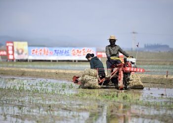 KOREA Utara berdepan kekurangan bekalan makanan selepas pintu sempadan negara itu ditutup bagi mengawal jangkitan Covid-19. - AFP