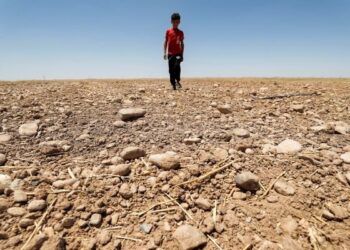 SEORANG kanak-kanak berjalan atas ladang pertanian yang kering di daerah Saadiya, utara Diyala di timur Iraq pada 24 Jun lalu. – AFP