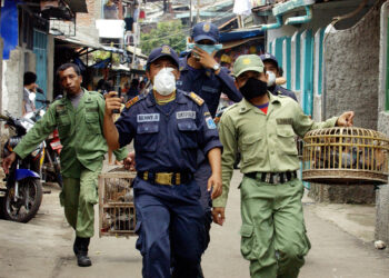 PIHAK berkuasa membawa burung merpati semasa pemeriksaan pintu ke pintu bagi mengekang penularan virus avian influenza di Jakarta.-AFP