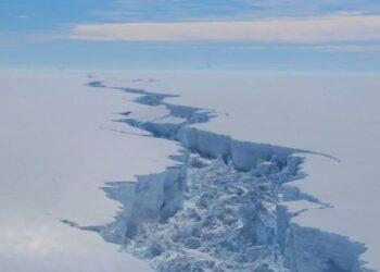 Ancaman biodiversiti semakin menjadi-jadi disebabkan peningkatan aktiviti manusia, pencemaran dan perubahan iklim yang menekan ekosistem dan persekitaran di benua Antartika. - AFP