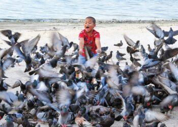 SEORANG kanak-kanak riang bermain sambil memberi makan burung ketika cuti persekolahan di Pantai Stulang Laut, Johor Bahru.