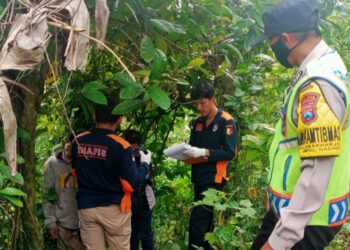 ANGGOTA polis melakukan pemeriksaan terhadap mayat Sukarni yang ditemui tergantung di kawasan kebun di Desa Lebakharjo di Malang kelmarin.-AGENSI 