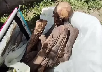 MUMIA purba yang ditemukan dalam beg di tapak arkeologi Puno, Peru. -AGENSI