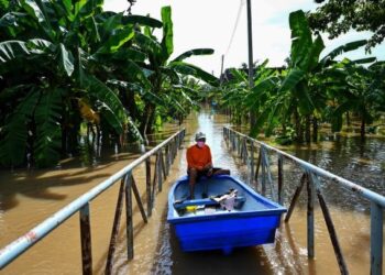 BANJIR di wilayah Ayutthaya menyebabkan kawasan dusun tenggelam dan merugikan petani. – AFP
