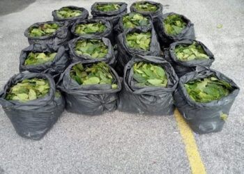 BUNGKUSAN minuman dan daun-daun disyaki ketum yang dirampas polis dalam serbuan di Kampung Bukit, Bayan Lepas, Pulau Pinang semalam. - FB PDRM
