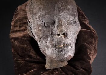 KEPALA mumia berusia 2,800 tahun mula dijual dalam acara lelongan. - AGENSI