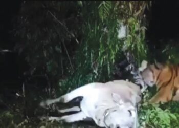 Perkongsian video seumpama itu tanpa maklumat yang sahih hanya akan mengelirukan orang ramai dan mengundang resah penduduk setempat.