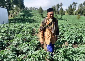 MBAH Kerto mempunyai ladang seluas 30 hektar. - AGENSI