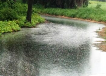 SAM menggesa pihak berkuasa berkaitan menyiasat pencemaran parit di Paya Mahang, Nibong Tebal, Pulau Pinang yang mengalir ke muara Sungai Jawi seterusnya ke laut.