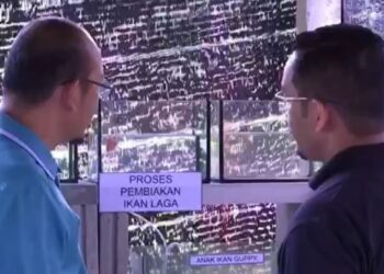 PENTERNAKAN ikan pelaga sebagai hiasan komersial mampu menjana pendapatan kepada pengusaha tempatan. – Ihsan DOF
