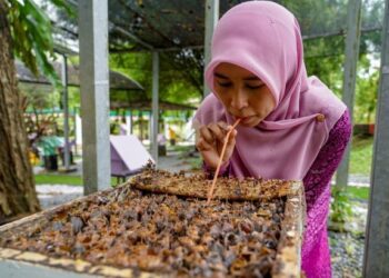 FARAH Farhanah Haron menguji rasa madu kelulut sempena Pameran Pertanian, Hortikultur dan Agro Pelancongan Malaysia (MAHA) 2022 di Taman Ekspo Pertanian Malaysia (MAEPS), Serdang, Selangor. - UTUSAN/FARIZ RUSADIO