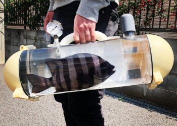 KATSUGYO boleh menyimpan ikan hidup dan dibawa ke mana sahaja. - AGENSI