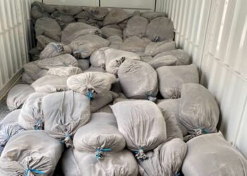 GUNI berisi mineral disyaki REE yang dirampas pihak berkuasa selepas diambil secara haram dari Hutan Simpan Bukit Enggang di Sik.