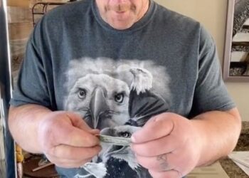 JEFF Dabe memaparkan lengannya sambil memegang sekeping wang kertas dolar Amerika. - TIKTOK 