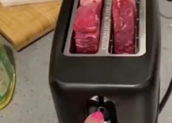 SEORANG lelaki di New Zealand hampir kehilangan rumahnya dalam kebakaran selepas masak stik dalam alat pembakar roti. - AGENSI