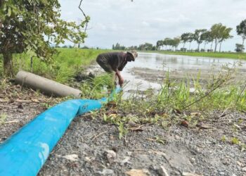 SEORANG pesawah, Rejemi Isa,71, menggunakan pam mengeluarkan air yang bertakung ekoran masalah tali air terbiar dan tidak diselenggara di Behor Mempelam, Guar Sanji, Arau, Perlis.- UTUSAN/MOHD. HAFIZ ABD. MUTALIB