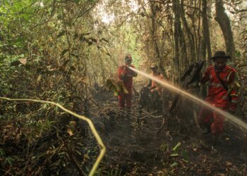 PIHAK berkuasa Kalimantan Tengah sudah merancang beberapa langkah pencegahan bagi mengurangkan kesan kebakaran hutan. - AFP