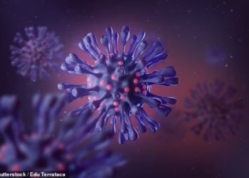BERBANDING dengan Covid-19 yang kurang menyebabkan kematian, jelasnya, Penyakit X dijangka mudah tersebar seperti campak dan mungkin mengancam nyawa seperti Ebola.