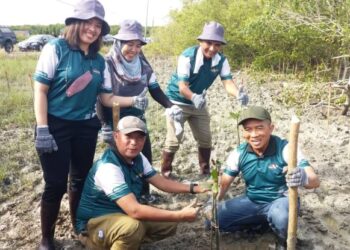 MOHD. Nizom Sairi (duduk, kanan) menanam pokok bakau sebagai simbolik Program Penanaman Pokok Bakau KDEB Waste Management (KDEBWM), LHDN dan Jabatan Perhutanan Selangor di Hutan Simpan Kuala Bernam, Sungai Apong di Sabak Bernam, Selangor, hari ini.