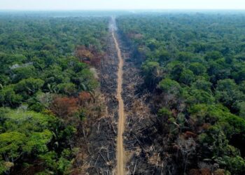 PEMUSNAHAN hutan bagi tujuan pembangunan merupakan satu daripada sikap ‘manusia tamak’.  - AFP