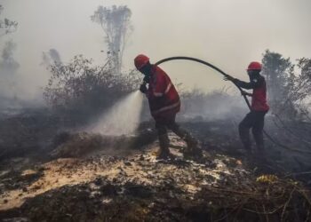 ANGGOTA bomba memadam kebakaran tanah gambut di Kampar di Riau.-AFP